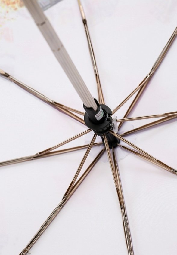 Зонт складной Trust