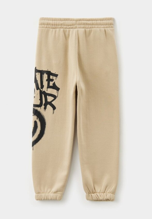 Брюки спортивные Terranova