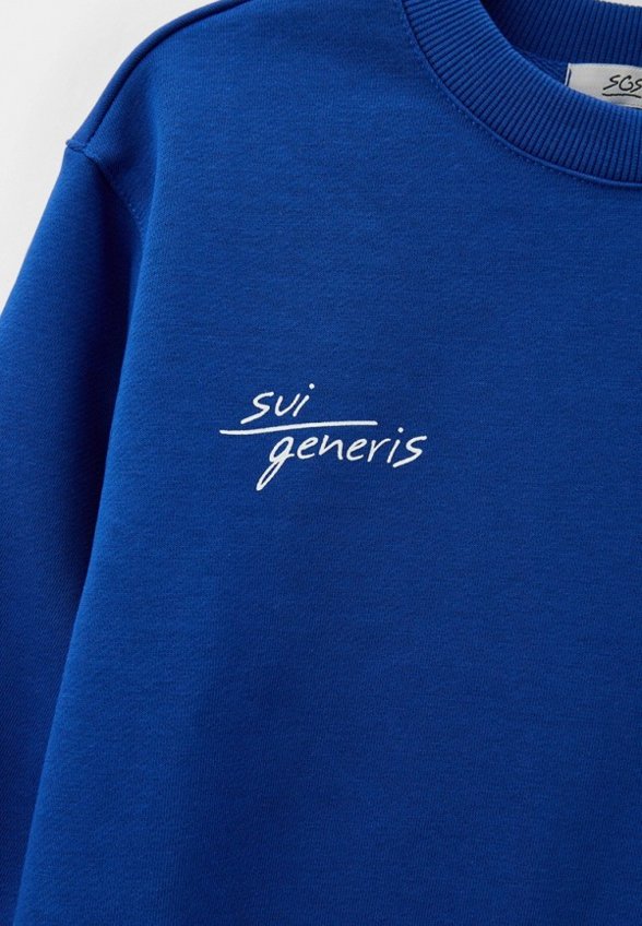 Свитшот Sui Generis