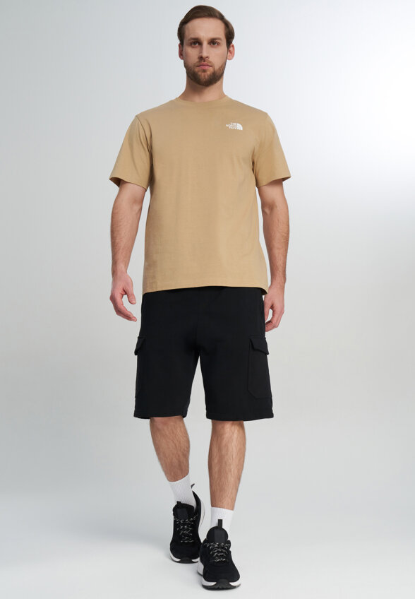 Футболка мужская The North Face Evolution, Бежевый
