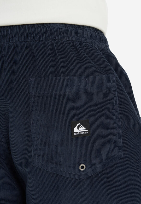 Шорты мужские Quiksilver Taxer Cord, Синий