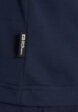 Футболка мужская Jack Wolfskin Brand, Синий5  - превью