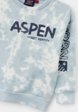 Свитшот Aspen Polo Club3  - превью
