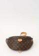 Louis Vuitton Bumbag1  - превью