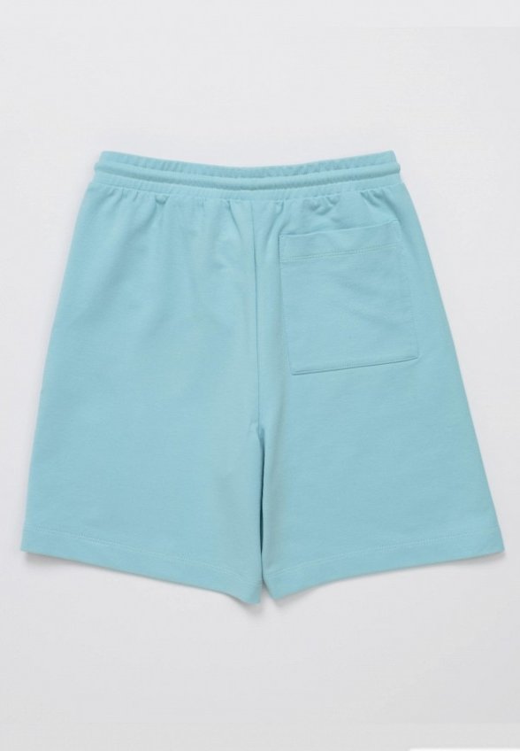 Шорты спортивные Artie