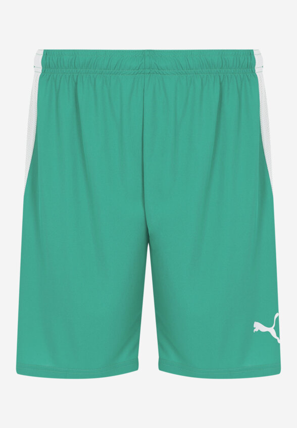 Шорты мужские PUMA teamLIGA, Зеленый