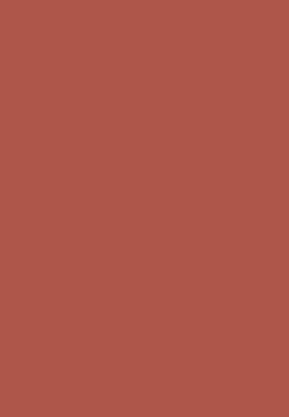 Помада Clarins