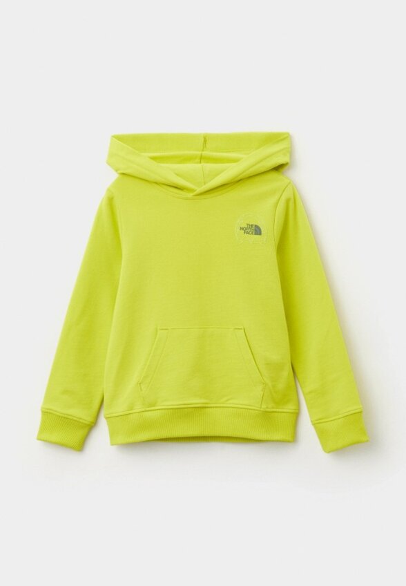 Худи The North Face