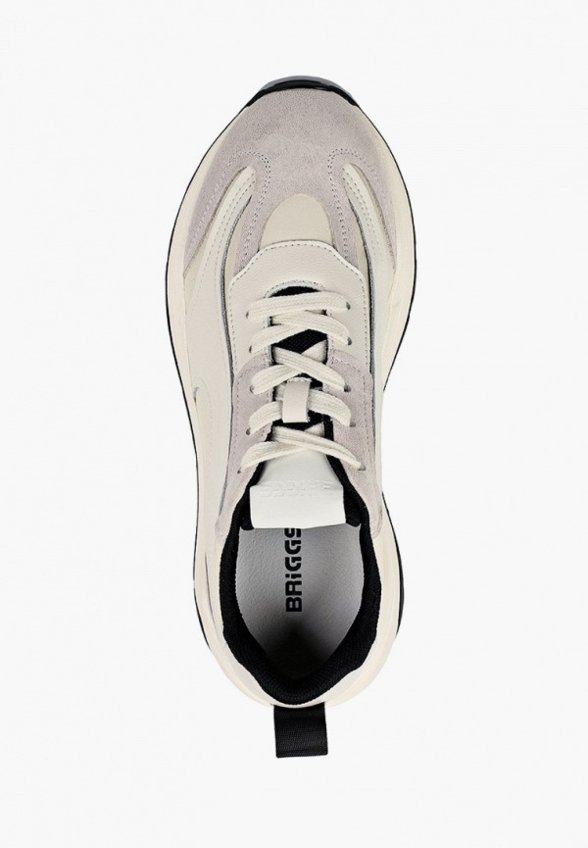 Кроссовки Briggs