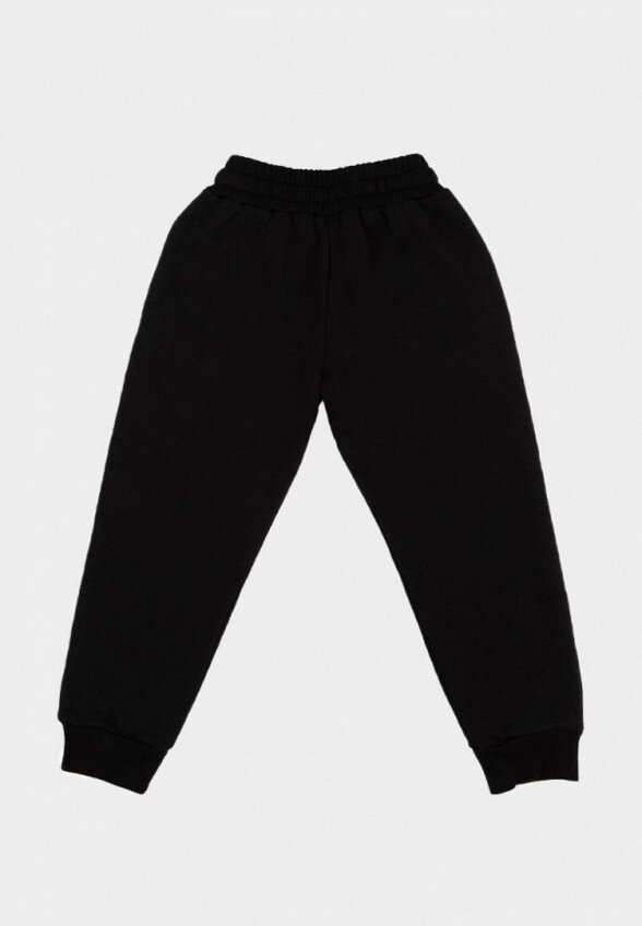 Брюки спортивные Nordman