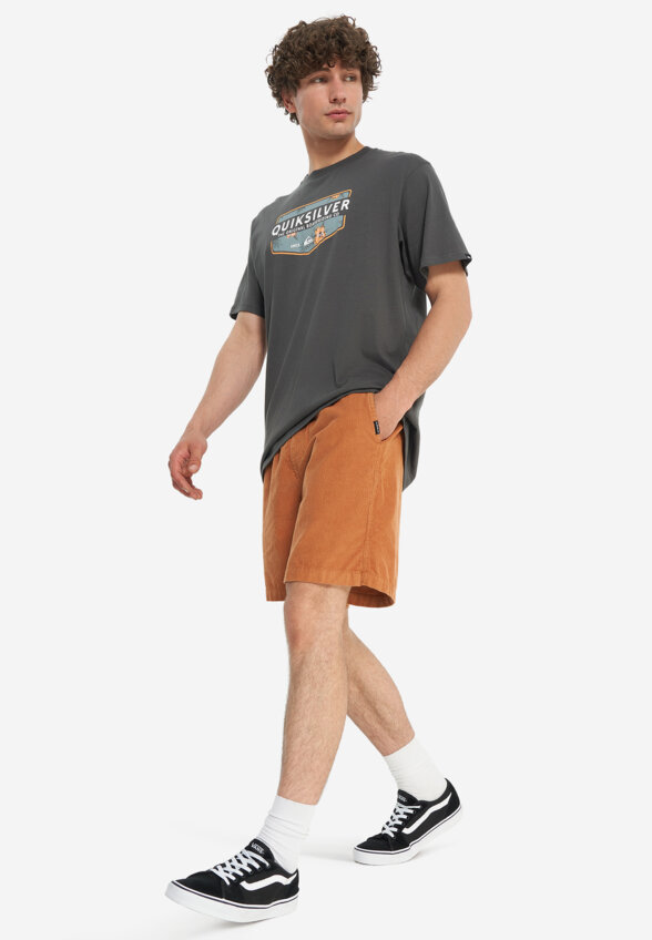 Футболка мужская Quiksilver Ultimate Classic, Серый