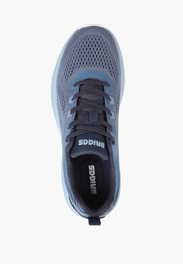 Кроссовки Briggs