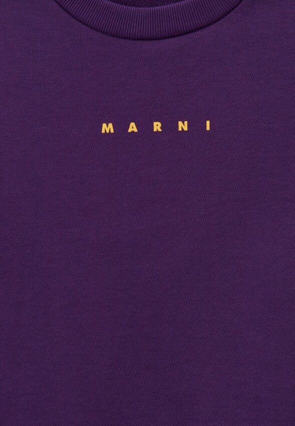 Свитшот Marni