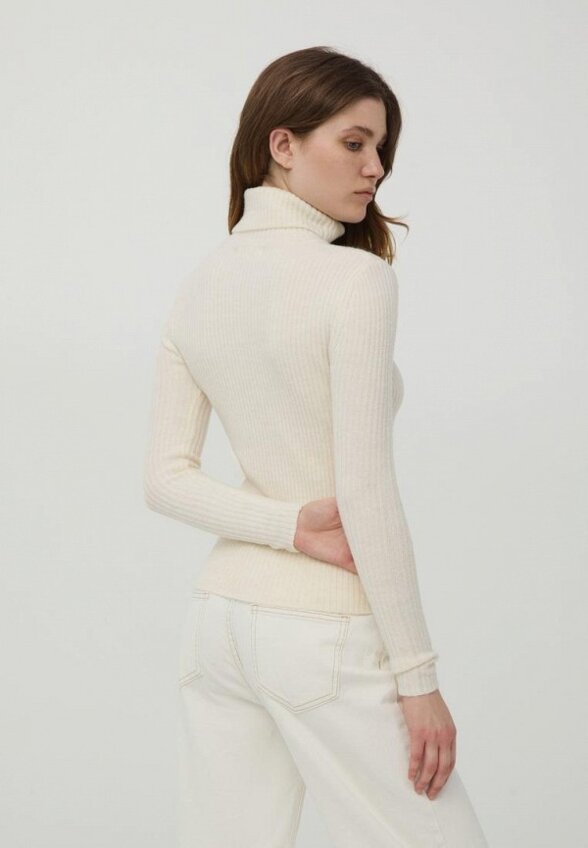 Водолазка Terranova