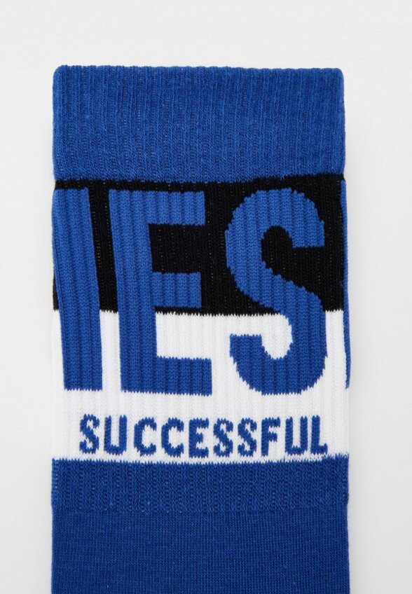 Носки 3 пары Diesel