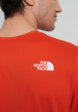 Футболка мужская The North Face 24/7, Красный5  - превью