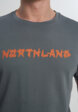 Футболка мужская Northland, Серый6  - превью