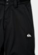 Брюки сноубордические Quiksilver3  - превью