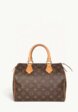 Louis Vuitton Speedy1  - превью