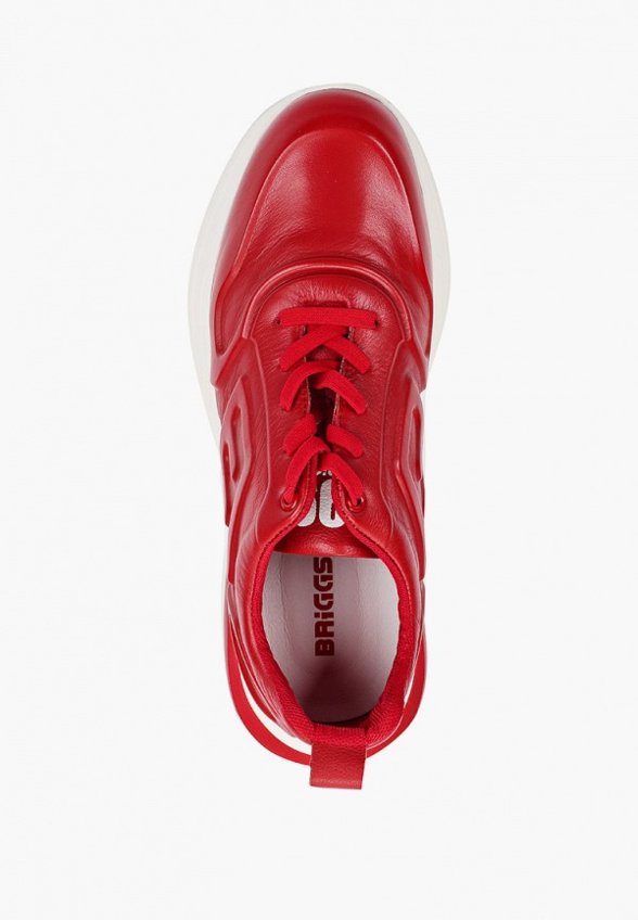 Кроссовки Briggs