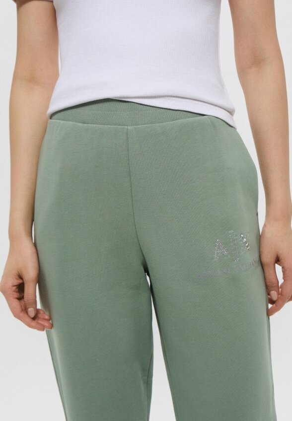 Брюки спортивные Armani Exchange