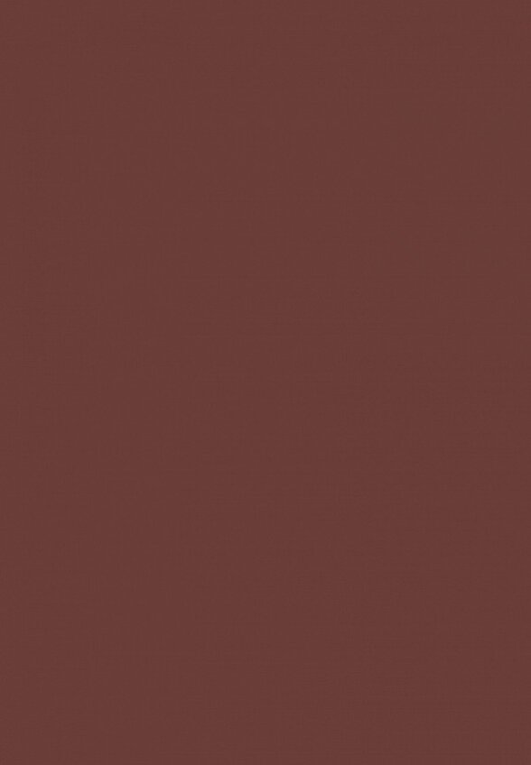 Карандаш для губ Astra