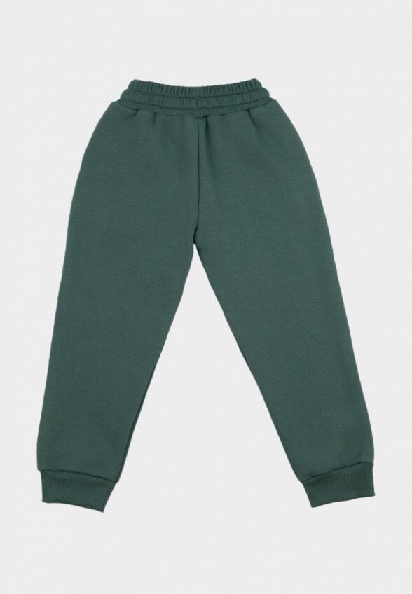 Брюки спортивные Nordman