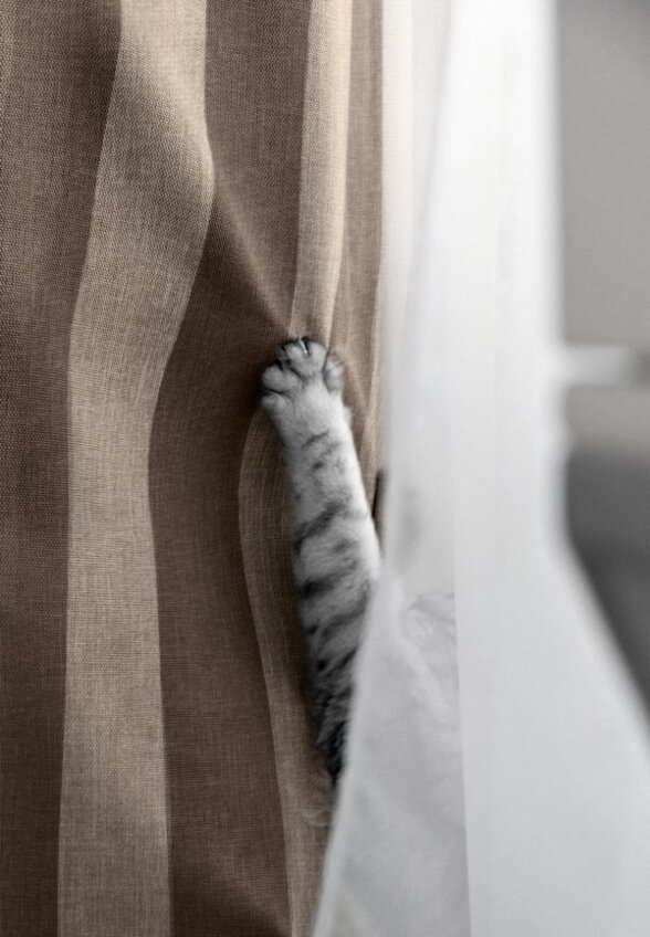 Шторы Волшебная Ночь