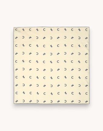Celine Scarf женщинам