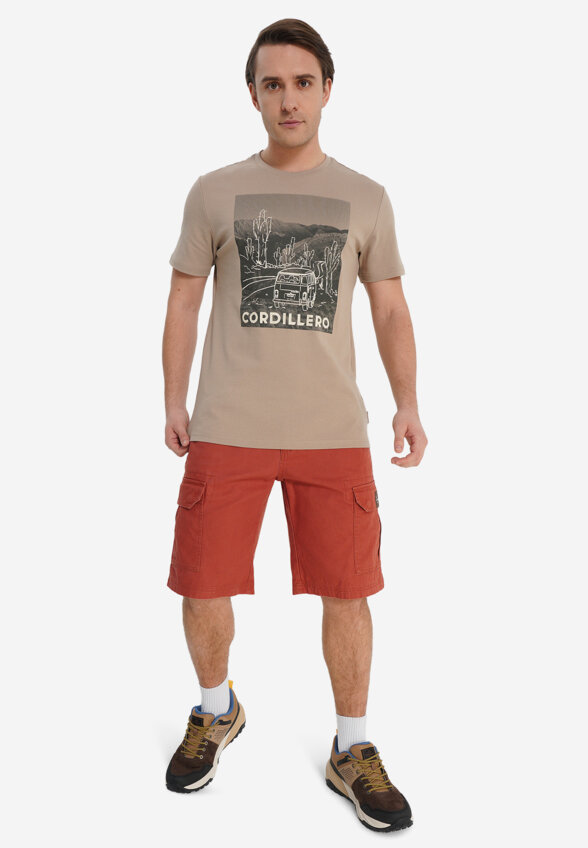 Футболка мужская оверсайз Cordillero, Коричневый