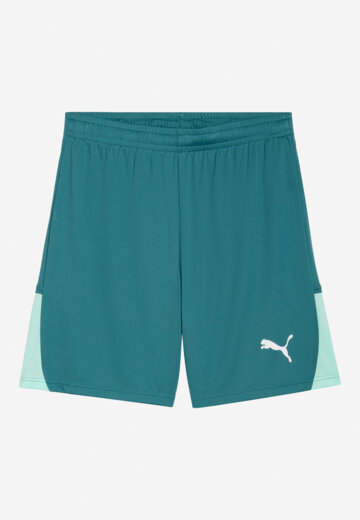 Шорты мужские PUMA Teamliga26, Зеленый