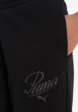 Брюки флисовые женские PUMA Ess Script, Черный6  - превью