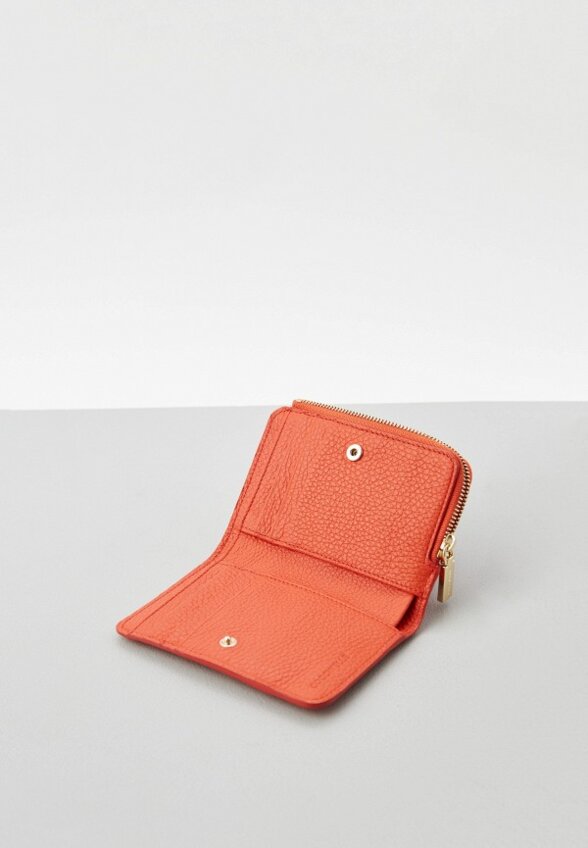 Кошелек Coccinelle