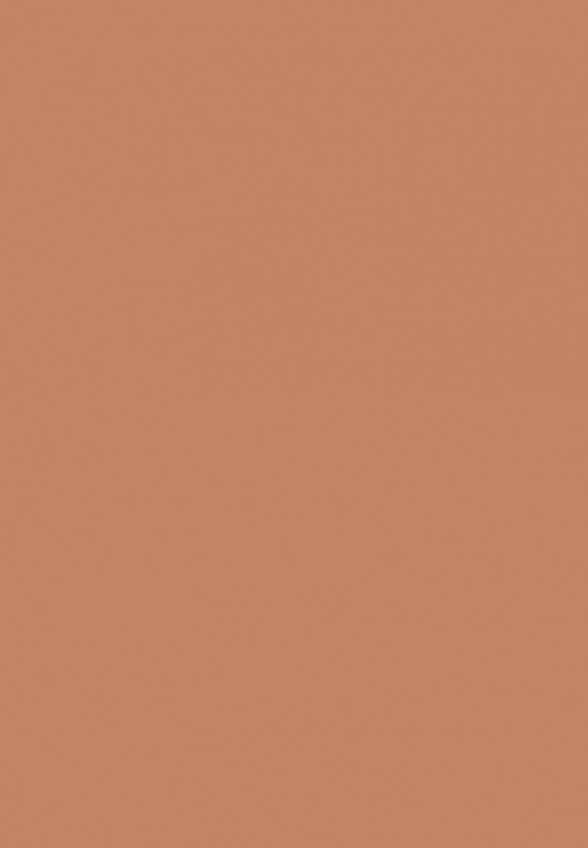 BB-Крем для лица Erborian