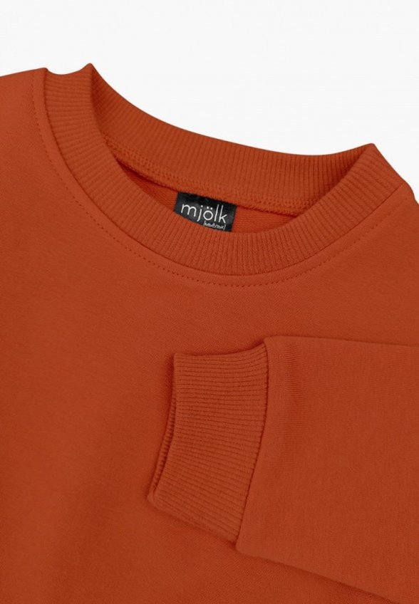 Костюм спортивный Mjolk