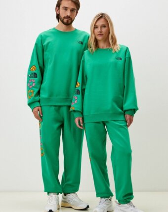 Брюки спортивные The North Face женщинам