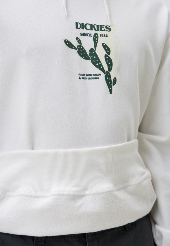 Худи Dickies
