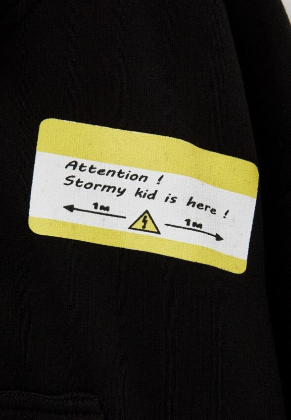 Толстовка Stormies