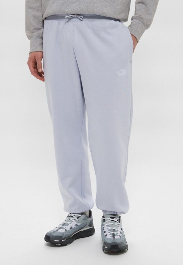 Брюки спортивные The North Face