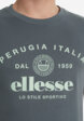Футболка мужская Ellesse, Серый5  - превью