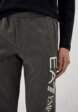 Брюки спортивные EA74  - превью