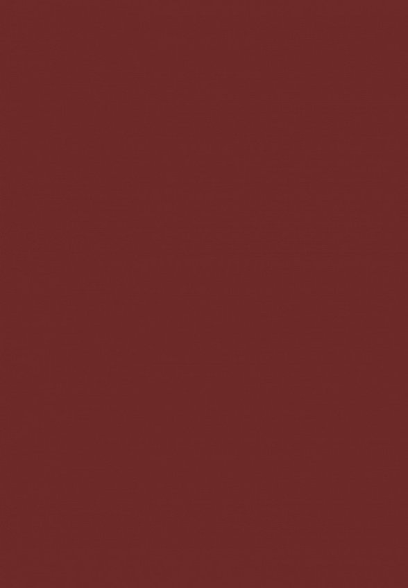 Карандаш для губ Revolution