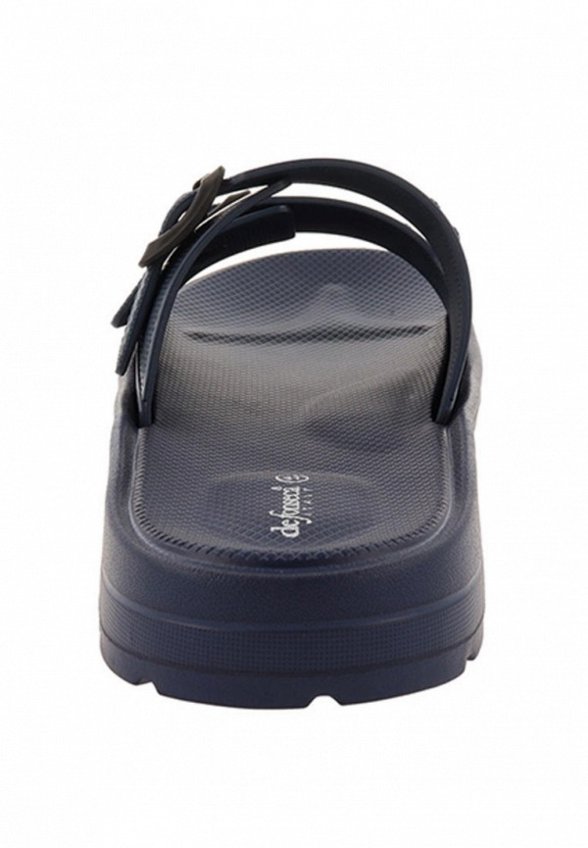 Сланцы De Fonseca