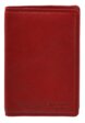 Др.Коффер X510130-99-12 обложка для документов2  - превью