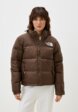 Пуховик The North Face1  - превью