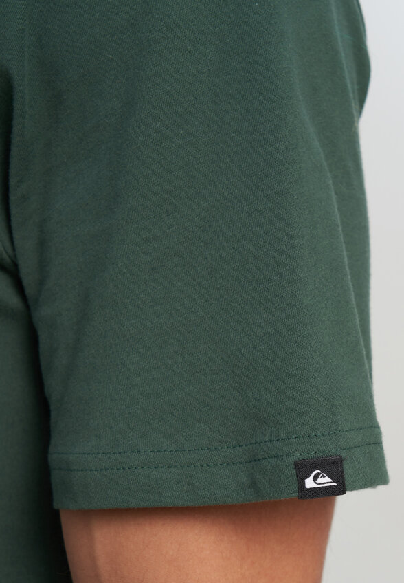 Футболка мужская Quiksilver Ev Vista, Зеленый