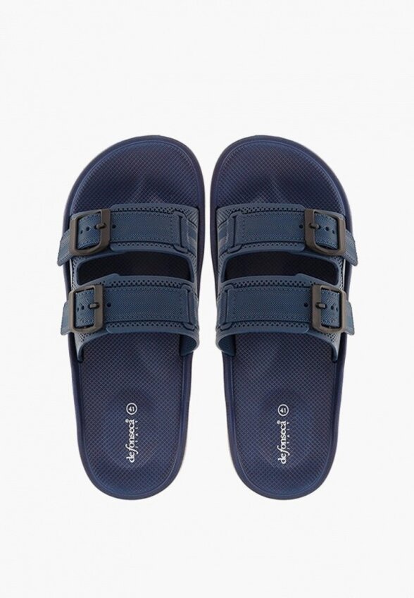 Сланцы De Fonseca