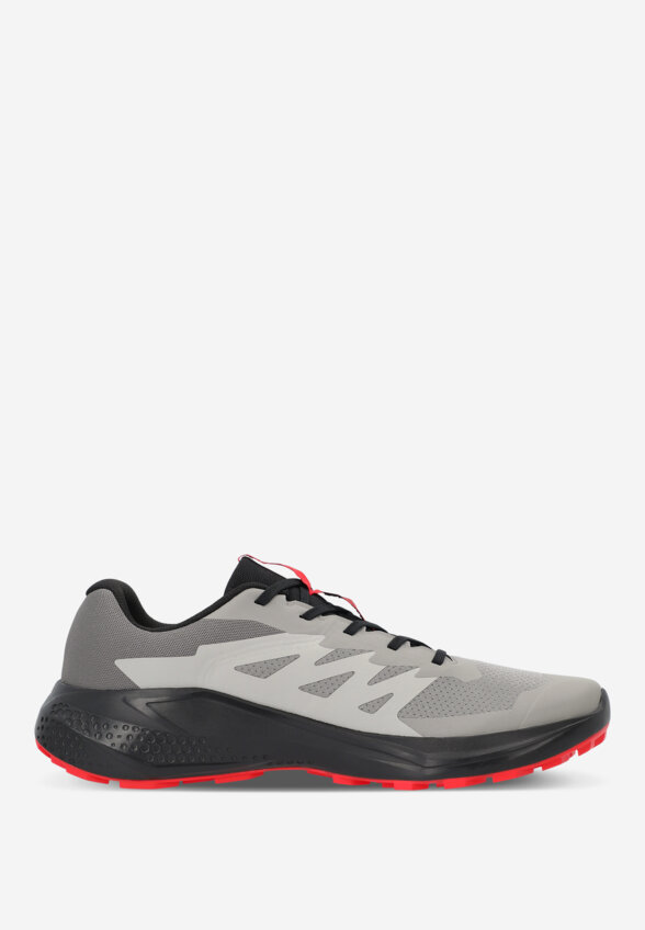 Кроссовки мужские Salomon Alphaglide, Серый