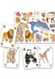 Настольная игра DJECO 