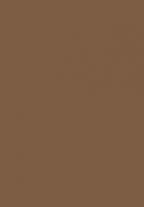 Жидкие тени для век Russian Beauty Guru